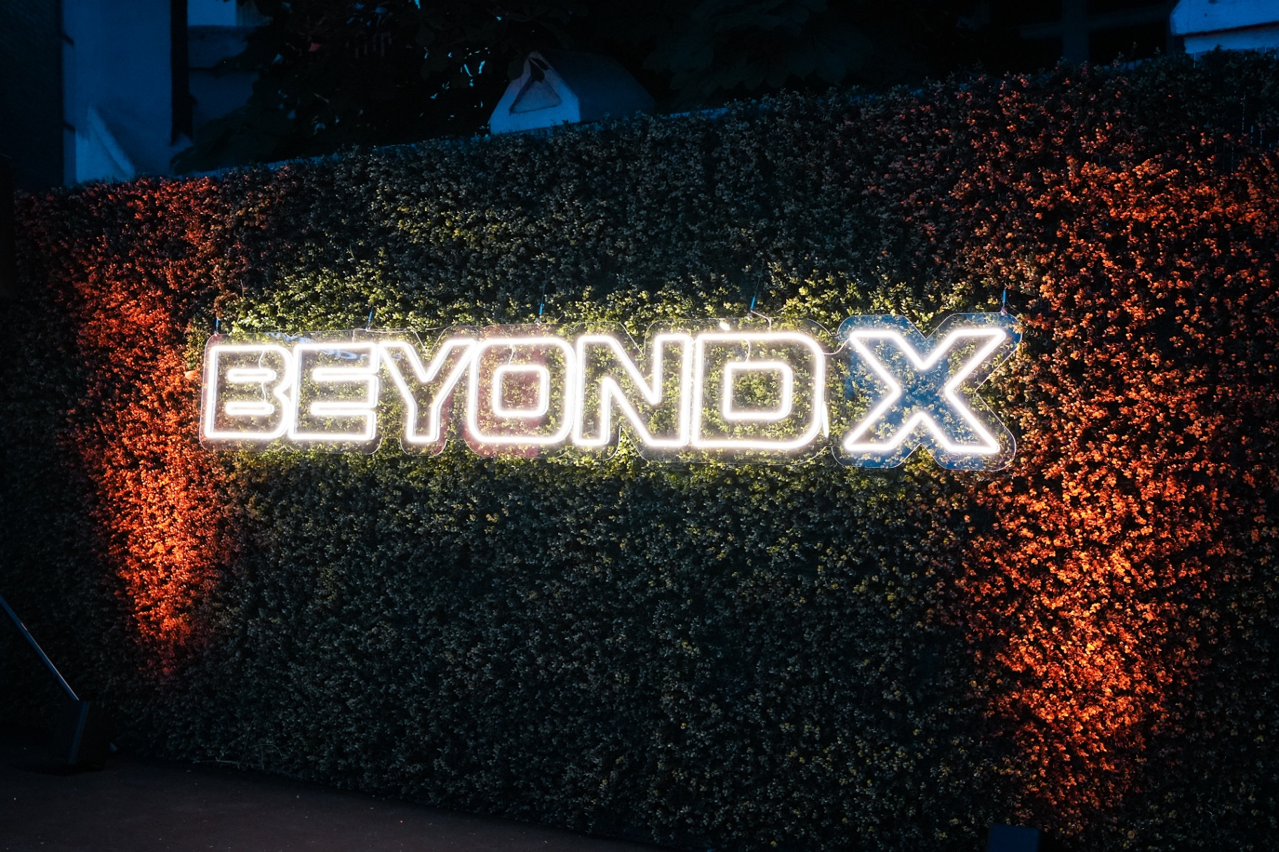 BeyondX